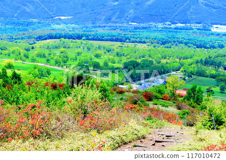 Climbing Mt. Nekodake in June Nature of Shinshu Mountains of Shinshu Climbing Mt. Nekodake in June Nature of Shinshu Mountains of Shinshu 117010472