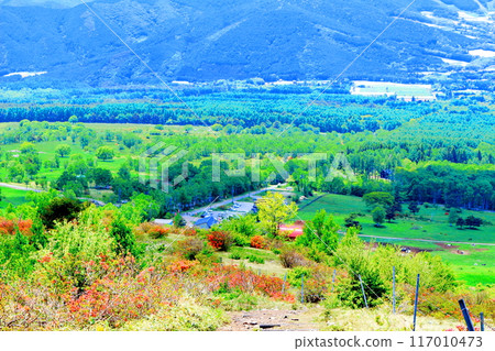Climbing Mt. Nekodake in June Nature of Shinshu Mountains of Shinshu Climbing Mt. Nekodake in June Nature of Shinshu Mountains of Shinshu 117010473