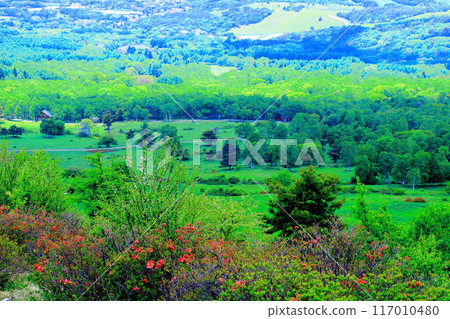 Climbing Mt. Nekodake in June Nature of Shinshu Mountains of Shinshu Climbing Mt. Nekodake in June Nature of Shinshu Mountains of Shinshu 117010480