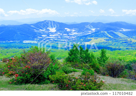 Climbing Mt. Nekodake in June Nature of Shinshu Mountains of Shinshu Climbing Mt. Nekodake in June Nature of Shinshu Mountains of Shinshu 117010482