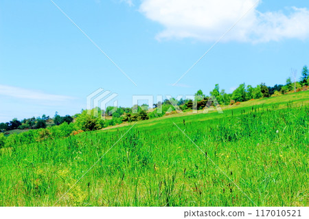 六月攀登貓山 信州山的自然風光 信州山 117010521