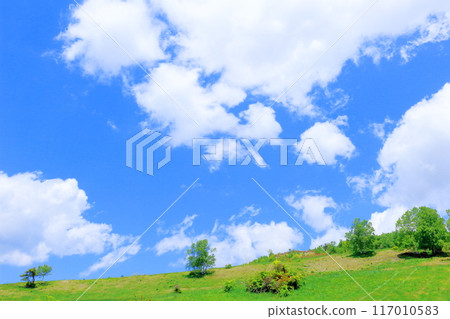 Climbing Mt. Nekodake in June Nature of Shinshu Mountains of Shinshu Climbing Mt. Nekodake in June Nature of Shinshu Mountains of Shinshu 117010583