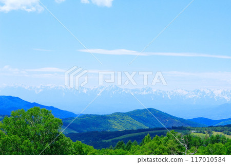 Climbing Mt. Nekodake in June Nature of Shinshu Mountains of Shinshu Climbing Mt. Nekodake in June Nature of Shinshu Mountains of Shinshu 117010584