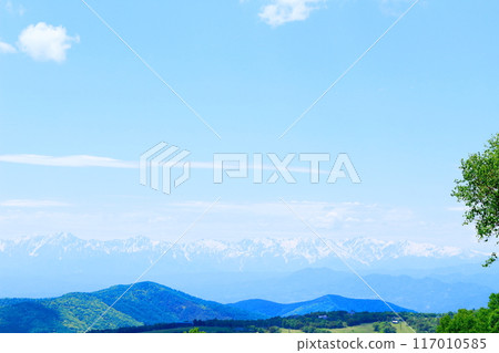 Climbing Mt. Nekodake in June Nature of Shinshu Mountains of Shinshu Climbing Mt. Nekodake in June Nature of Shinshu Mountains of Shinshu 117010585