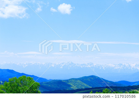 Climbing Mt. Nekodake in June　Nature of Shinshu　Mountains of Shinshu 117010586