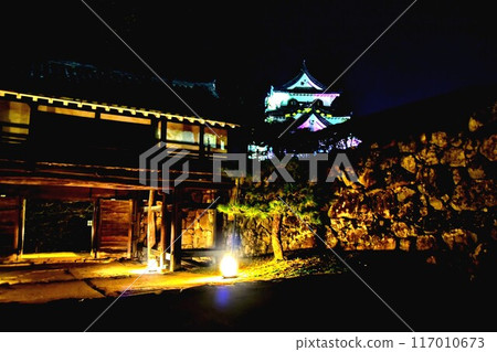 Hikone castle Hikone castle 117010673