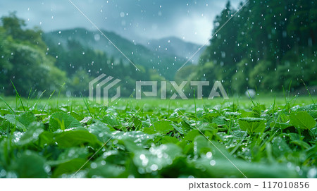 Japanese mountain forest rural landscape in the rainy season 117010856