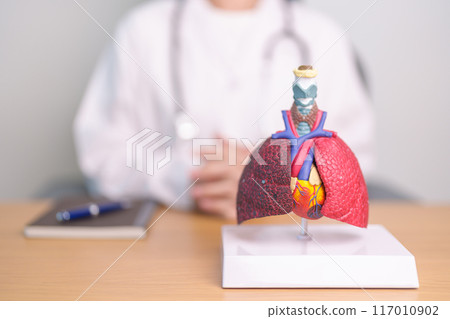 Doctor with Respiratory system anatomy for Diseases. Lung Cancer, Asthma, Chronic Obstructive Pulmonary or COPD, Bronchitis, Emphysema, Cystic Fibrosis, Bronchiectasis, Pneumonia and Pleural Effusion Doctor with Respiratory system anatomy for Diseases. Lung Cancer, Asthma, Chronic Obstructive Pulmonary or COPD, Bronchitis, Emphysema, Cystic Fibrosis, Bronchiectasis, Pneumonia and Pleural Effusion 117010902