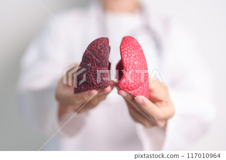 Doctor with Smoker and normal Lung anatomy for Disease. Lung Cancer, Asthma, Chronic Obstructive Pulmonary or COPD, Bronchitis, Emphysema, Cystic Fibrosis, Bronchiectasis, Pneumonia and world Lung day 117010964