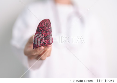 Doctor with Smoker and normal Lung anatomy for Disease. Lung Cancer, Asthma, Chronic Obstructive Pulmonary or COPD, Bronchitis, Emphysema, Cystic Fibrosis, Bronchiectasis, Pneumonia and world Lung day 117010965