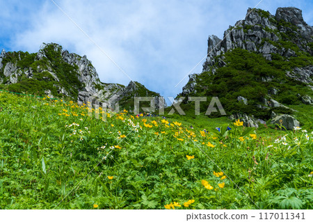 夏季攀登木曾駒岳 117011341