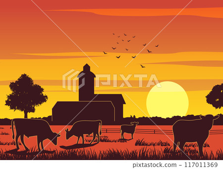 Silhouette design of farm while cows eating the grass on sunset time Silhouette design of farm while cows eating the grass on sunset time 117011369