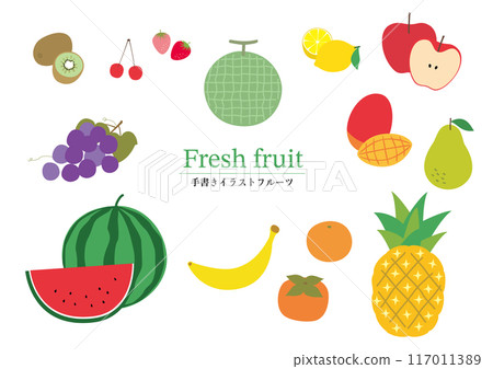 Hand-drawn set of various fruits 117011389