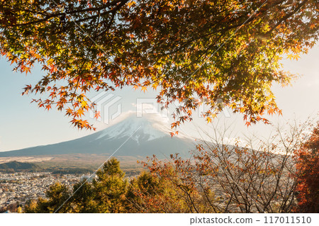 Mount Fuji view in Autumn season, colorful fall foliage leaves at Chureito Pagoda, Yamanashi, Japan. Landmark for tourists attraction. Japan Travel, Destination, Vacation and season change concept Mount Fuji view in Autumn season, colorful fall foliage leaves at Chureito Pagoda, Yamanashi, Japan. Landmark for tourists attraction. Japan Travel, Destination, Vacation and season change concept 117011510