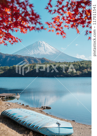 Mount Fuji view at Lake Saiko in Autumn season. Mt Fujisan in Fujikawaguchiko, Yamanashi, Japan. Landmark for tourists attraction. Japan Travel, Destination, Vacation and Mount Fuji Day concept Mount Fuji view at Lake Saiko in Autumn season. Mt Fujisan in Fujikawaguchiko, Yamanashi, Japan. Landmark for tourists attraction. Japan Travel, Destination, Vacation and Mount Fuji Day concept 117011541