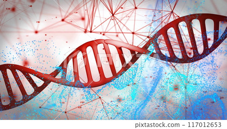 DNA strand and molecular structure image over blue and red background DNA strand and molecular structure image over blue and red background 117012653