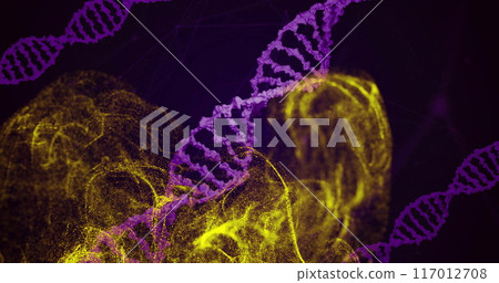 DNA strands and molecular structures, scientific research image 117012708