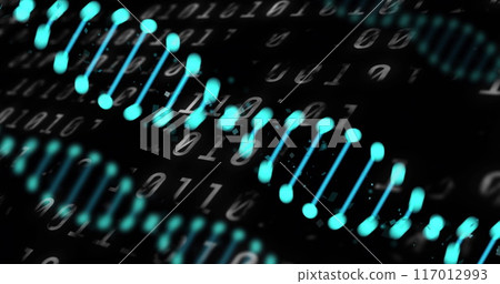 Image of dna strands over data processing on black background Image of dna strands over data processing on black background 117012993