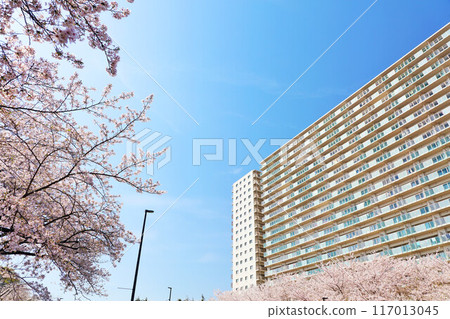 公寓在藍藍的天空和櫻花 117013045
