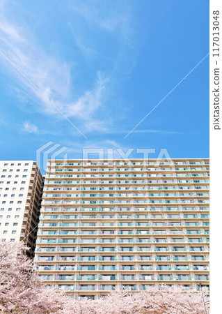 Apartment in blue sky and cherry blossoms 117013048