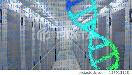 Image of dna strands and data processing over server room Image of dna strands and data processing over server room 117013128