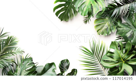 Tropical leaves foliage plants arrangement nature backdrop on white background. 117014195