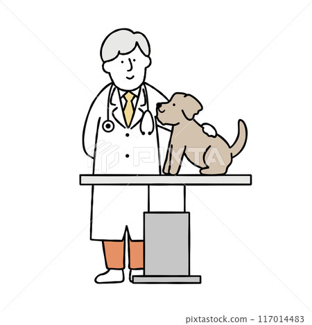 Vector illustration of a dog on an examination table and a male veterinarian examining him 117014483