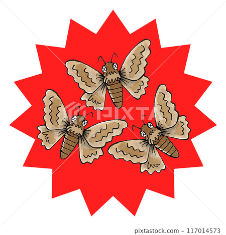 Moths exterminated 117014573