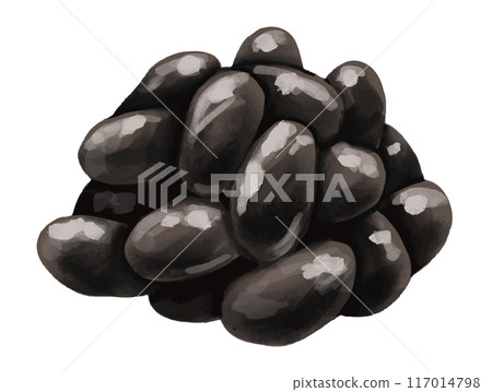 黑豆水彩風格手繪插畫 黑豆水彩風格手繪插畫 117014798