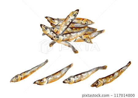 Tazukuri 水彩風格手繪插畫 117014800