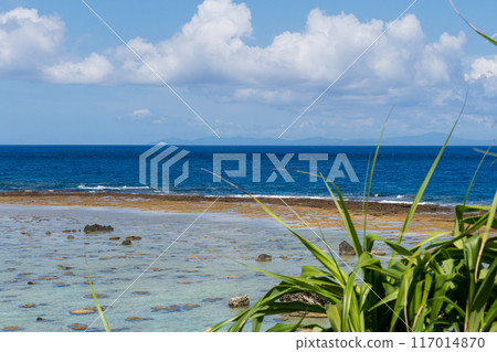 南島（鹿兒島縣奄美群島、沖之良部島）的清澈大海和藍天 117014870