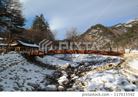 Mountain landscape with snow and pine trees in winter, South Korea Seoraksan Mountain Mountain landscape with snow and pine trees in winter, South Korea Seoraksan Mountain 117015592