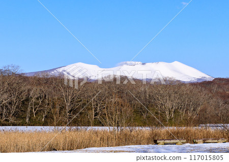 Mount Tarumae in winter as seen from Nishiki Onuma Park in Tomakomai, Hokkaido [January] 117015805