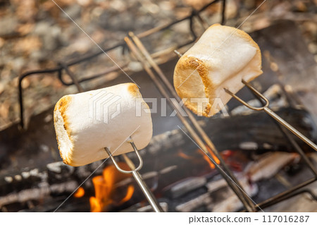 Roasting marshmallows at a campsite Roasting marshmallows at a campsite 117016287