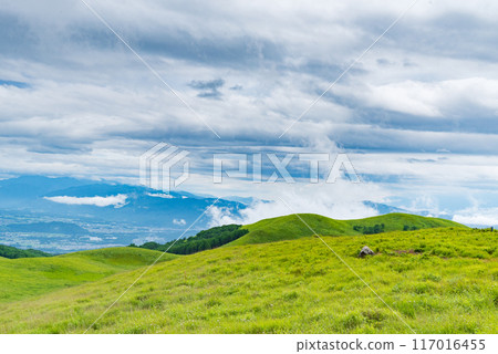 Grassland of Fujimidai, Kirigamine Plateau, Nagano Prefecture Grassland of Fujimidai, Kirigamine Plateau, Nagano Prefecture 117016455