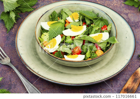 Nettle leaf salad. Nettle leaf salad. 117016661