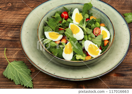 Nettle leaf salad. Nettle leaf salad. 117016663