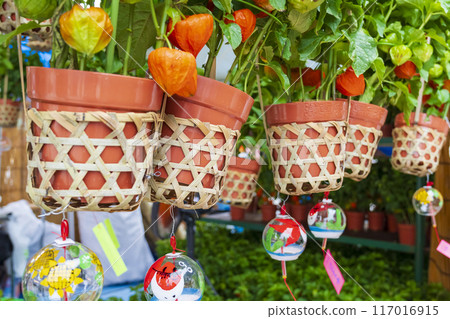 [夏季傳統]46,000天保月市場（淺草寺） 117016915