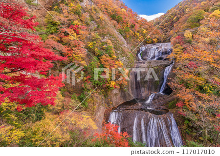 [茨城縣] 袋田瀑布 秋葉 117017010