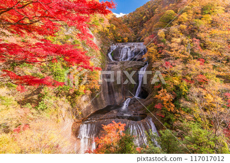 [Ibaraki Prefecture] Fukuroda Falls - Autumn leaves 117017012