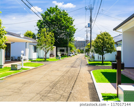 A residential area lined with foreign-style houses in Tokyo A residential area lined with foreign-style houses in Tokyo 117017144