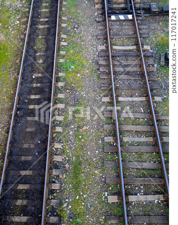 Old railway tracks. View from above. Railway in the moss. Road concept. Train station Old railway tracks. View from above. Railway in the moss. Road concept. Train station 117017241