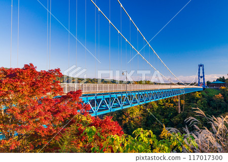 [茨城縣] 龍神吊橋 秋葉 117017300