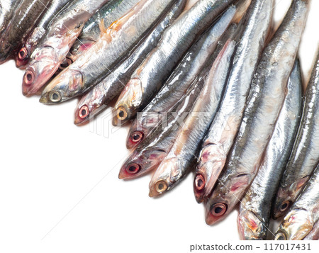 Lots of fresh sprats on a white background. Mockup. Fresh fish concept. Small fishes. Place for an inscription. For frying. Freshly caught. Table in the kitchen 117017431