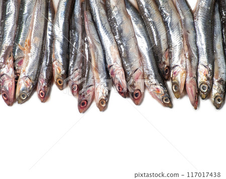 Lots of fresh sprats on a white background. Mockup. Fresh fish concept. Small fishes. Place for an inscription. Lunch ingredient. For frying. Freshly caught. 117017438