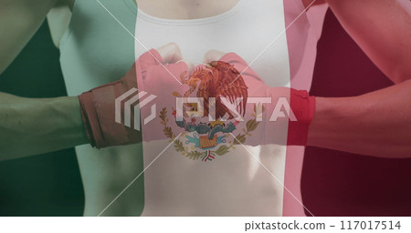 Image of flag of mexico over caucasian female boxer 117017514