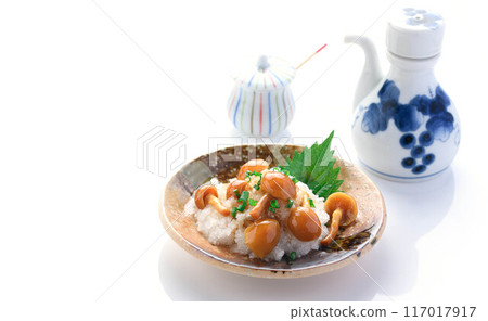 磨碎的滑子（白色背景） 117017917