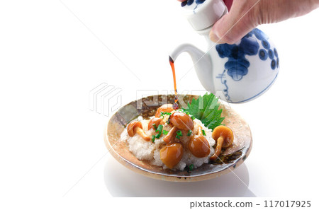 磨碎的滑子(白色背景) 磨碎的滑子(白色背景) 117017925