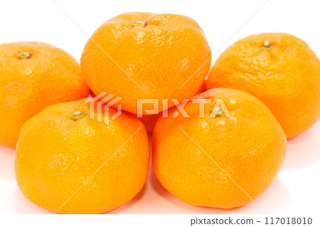 Aoshima mandarin oranges, Mikkabi mandarin oranges, multiple, light background, Shizuoka prefecture Aoshima mandarin oranges, Mikkabi mandarin oranges, multiple, light background, Shizuoka prefecture 117018010