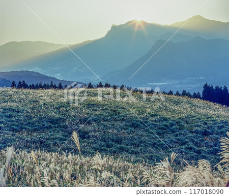 Kodachrome 67 Digitalized: Japanese silver grass on the Soni Plateau, 1993 117018090